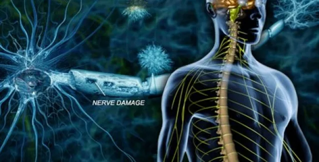 Νέα στοιχεία για τα πιθανά αίτια της σκλήρυνσης κατά πλάκας