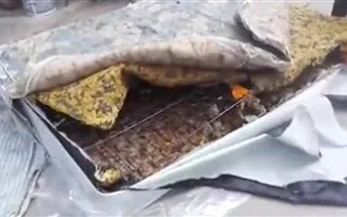 Ανακαλύπτοντας την απάτη του νέου στρώματος ~ Video