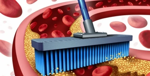 Με ποιες τροφές θα κρατήσετε καθαρές τις αρτηρίες σας