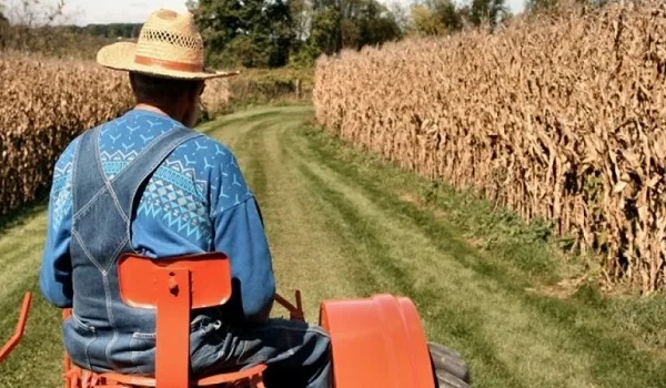 Τι θα ισχύει για τα ασφάλιστρα των ελεύθερων επαγγελματιών,  αγροτών, αυτοαπασχολούμενων