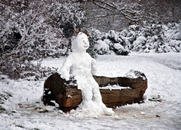 Παγωνιά; Οι τεμπέληδες καθηγητές φταίνε!