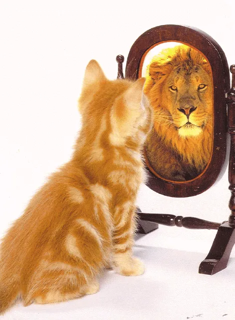 Δημιουρικές Εργασίες στο Λύκειο: Φακέλωμα και τυποποίηση της δημιουργικότητας των μαθητών από το Υπουργείο!…