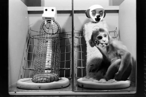 6 ηθικά αμφιλεγόμενα ψυχολογικά πειράματα