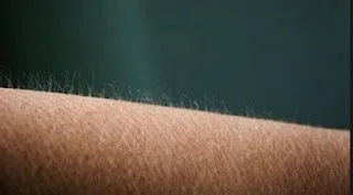 Ανατριχίλα, φτέρνισμα και άλλες 7 άμυνες του οργανισμού- Σε τι χρησιμεύουν