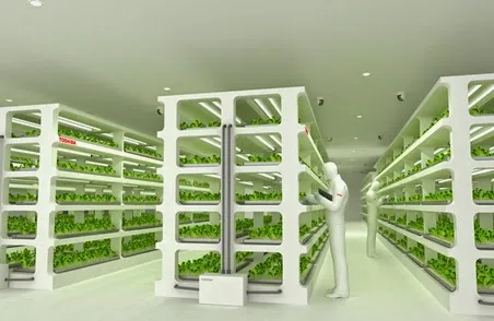 ‘Διαστημική’ τεχνολογία για τα λαχανικά του Ιάπωνα