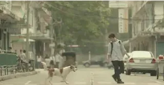 Υπέροχο βίντεο: Η ευχαρίστηση όταν βοηθάς κάποιον είναι τέλειο συναίσθημα!