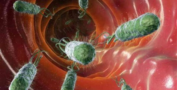 Νέα ιατρική έρευνα για τα μικρόβια του εντέρου