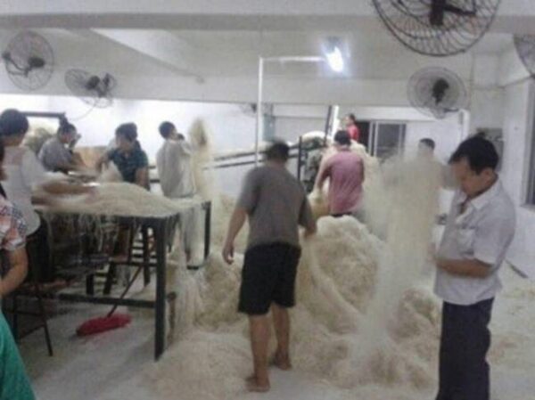 ΣΟΚ από τις φωτογραφίες εργοστασίου ζυμαρικών!