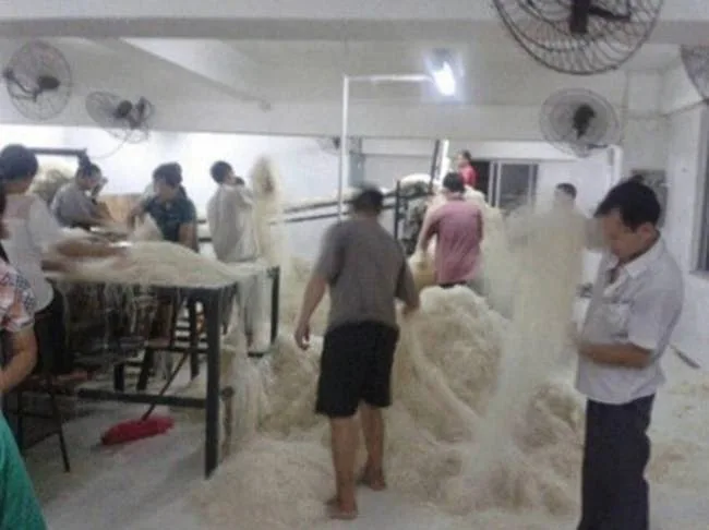 ΣΟΚ από τις φωτογραφίες εργοστασίου ζυμαρικών!