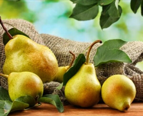 Ξέχνα τα μήλα! Ένα αχλάδι την ημέρα…