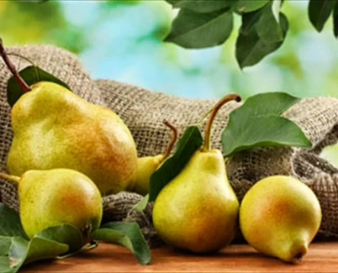 Ξέχνα τα μήλα! Ένα αχλάδι την ημέρα…