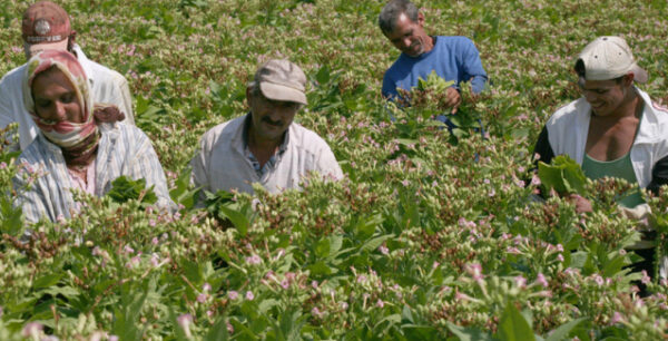 Επιβαρύνσεις έως και 3.180 ευρώ για τους αγρότες – Τι θα κληθούν να πληρώσουν