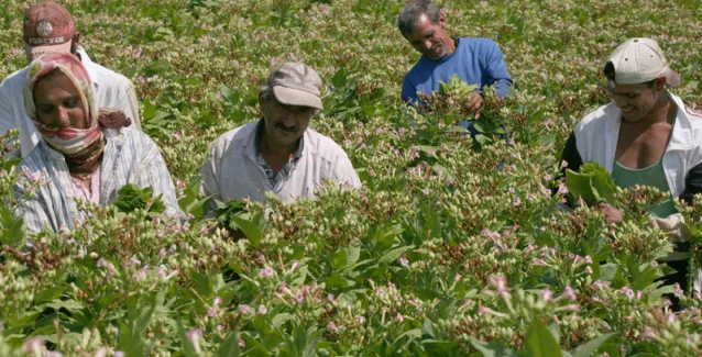 Επιβαρύνσεις έως και 3.180 ευρώ για τους αγρότες – Τι θα κληθούν να πληρώσουν