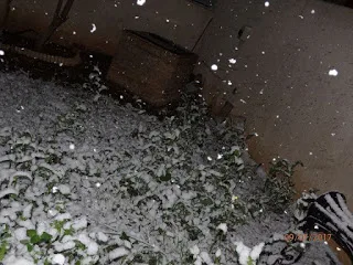 ΟΙ ΠΕΡΙΟΧΕΣ ΤΗΣ ΑΤΤΙΚΗΣ ΣΤΙΣ ΟΠΟΙΕΣ ΤΑ ΣΧΟΛΕΙΑ ΘΑ ΕΙΝΑΙ ΚΛΕΙΣΤΑ ΑΥΡΙΟ ΤΡΙΤΗ 10/1/2017