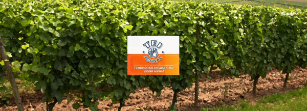 ΣΧΕΔΙΟ ΑΘΗΝΑ – ΜΕΝΕΙ Η ΕΛΛΑΔΑ ΧΩΡΙΣ ΟΙΝΟΛΟΓΟΥΣ!!!