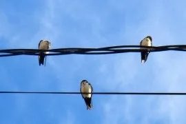 Οι αναπληρωτές ΕΑΕ που έρχονται στον Έβρο