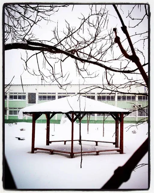 Από τη θεωρία των ιδεολογικών μηχανισμών στην αποδοχή του «ορθολογισμού» του PISA