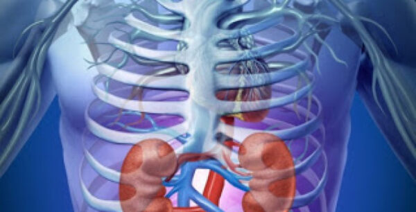 Προσοχή στα σημάδια που δείχνουν νεφρική ανεπάρκεια – Δείτε τη λίστα