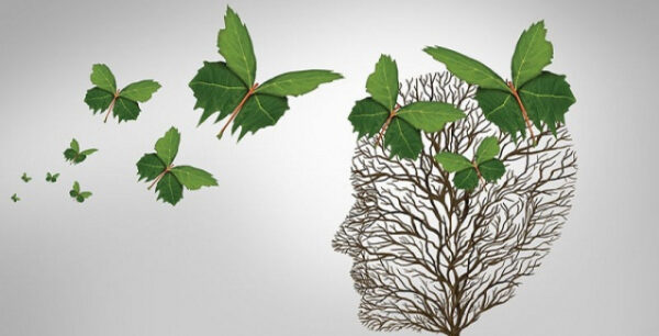 Ανοια: Με πόσα φρούτα και λαχανικά την ημέρα θα μειώσετε τον κίνδυνο