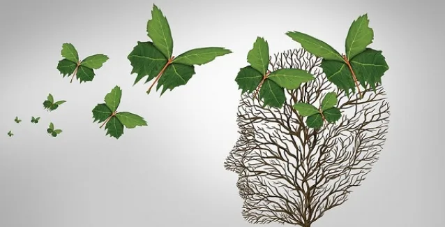 Ανοια: Με πόσα φρούτα και λαχανικά την ημέρα θα μειώσετε τον κίνδυνο