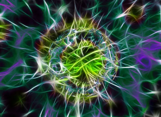 Απάντηση Κ.Φωτάκη σε ερώτηση της ΝΔ για το ΕΛΙΔΕΚ