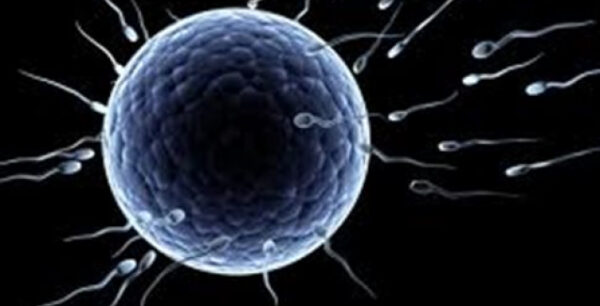 Θα το δούμε και αυτό: Δημιουργία μωρών χωρίς μαμά και ωάριο!