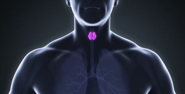 Φερριτίνη και σίδηρος: Ποια η σχέση τους με τον θυρεοειδή