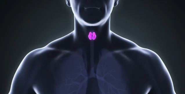 Φερριτίνη και σίδηρος: Ποια η σχέση τους με τον θυρεοειδή