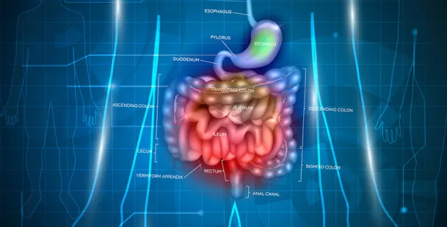 Γαστρικός καρκίνος: Τα σημάδια που μπορούν να οδηγήσουν σε έγκαιρη διάγνωση