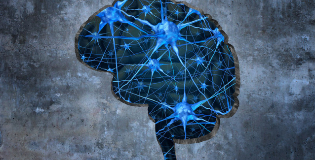 Νέοι νευρώνες αναπτύσσονται στον ανθρώπινο εγκέφαλο έως τα βαθιά γεράματα