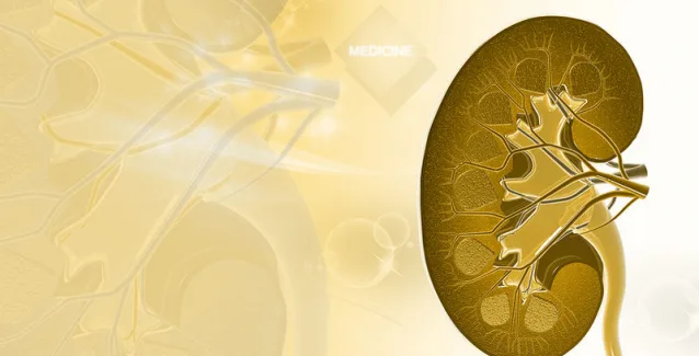 Νεφρά: 4 τρόποι για να τα κρατήσετε υγιή για πάντα