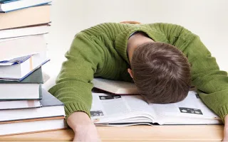 Από πού βγήκε η φράση «άνθρωπος αγράμματος, ξύλο απελέκητο»