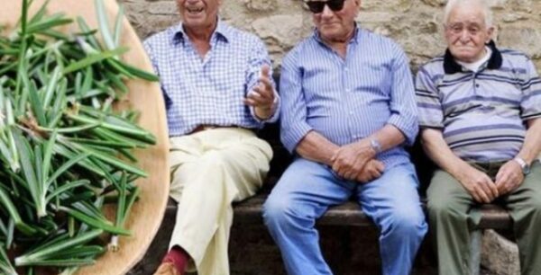 Ποιο βότανο είναι το μυστικό μακροζωίας των αιωνόβιων κατοίκων ενός χωριού;