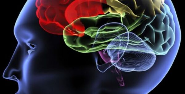 Για πρώτη φορά αντικαρκινική χημειοθεραπεία έσπασε με ασφάλεια τον προστατευτικό φραγμό του ανθρώπινου εγκεφάλου