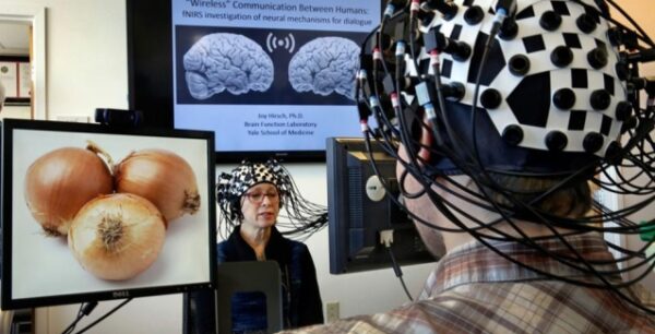 Ομοιοι ο ανδρικός και ο γυναικείος εγκέφαλος