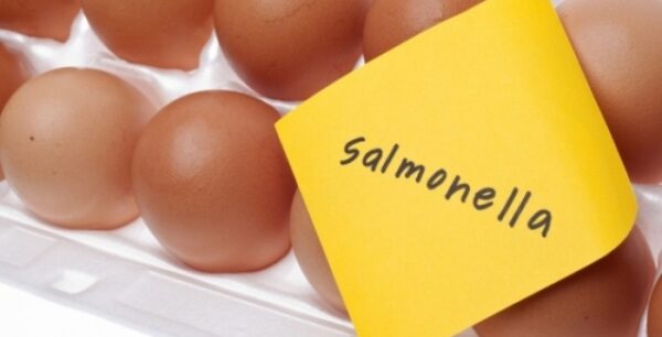 Τροφική δηλητηρίαση: Οι 10 πιο επικίνδυνες τροφές