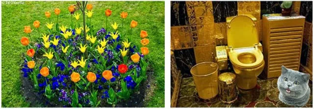 Πώς βλέπουν οι γάτες και πώς οι άνθρωποι το ίδιο πράγμα!