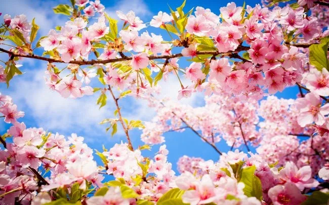 Γιατί οι 4 εποχές του χρόνου δεν έχουν την ίδια διάρκεια