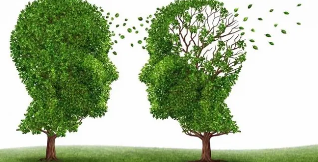 Ερευνα: Ποιοι είναι οι περιβαλλοντικοί παράγοντες κινδύνου για την άνοια