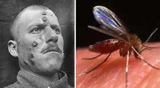 Φονικές ασθένειες που μεταδίδονται από τα ζώα