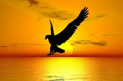 ΠΥΣΔΕ ΕΒΡΟΥ: 1η Πρόσκληση σε συνεδρίαση