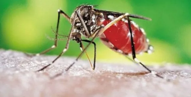 Αυξάνονται τα κρούσματα ελονοσίας στη χώρα! Οδηγίες από το Γενικό Γραμματέα Δημόσιας Υγείας