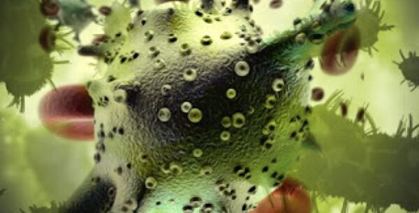 Έρευνα: Τα «καλά» βακτήρια του εντέρου, «ασπίδα» κατά του καρκίνου