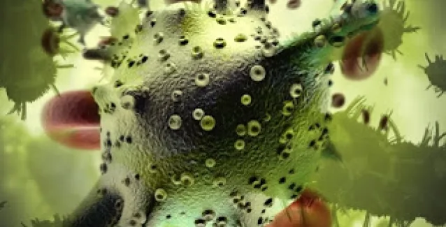 Έρευνα: Τα «καλά» βακτήρια του εντέρου, «ασπίδα» κατά του καρκίνου