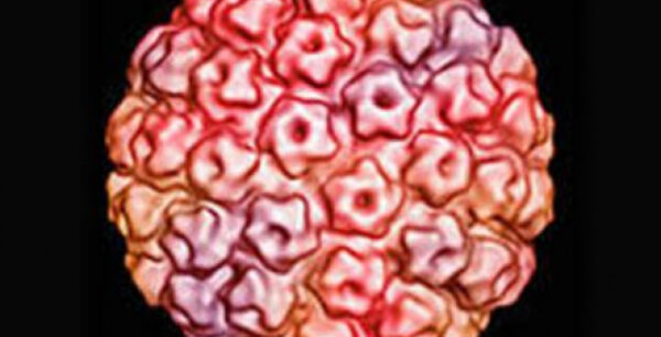 Έως το τέλος του έτους η δωρεάν χορήγηση του εμβολίου για τον ιό HPV στις γυναίκες 18 έως 26 χρόνων