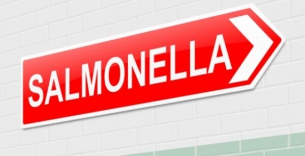 Σαλμονέλα: Συμπτώματα και πώς να προστατευθείτε