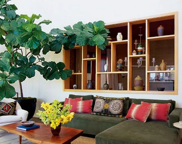 Ποια είναι τα κατάλληλα φυτά για το εσωτερικό του σπιτιού; (eco life)