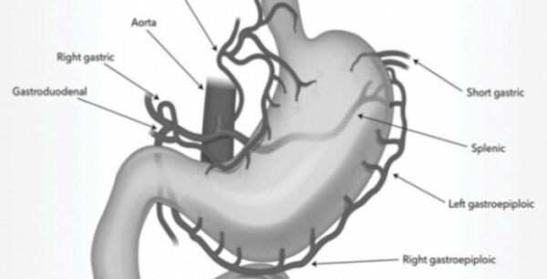 Τι είναι η μέθοδος BEAT που μειώνει κατά 14% το σωματικό βάρος;