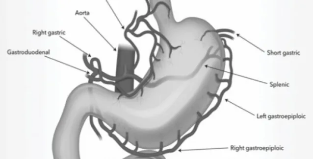 Τι είναι η μέθοδος BEAT που μειώνει κατά 14% το σωματικό βάρος;