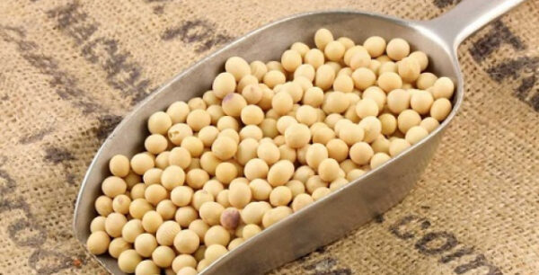 Σόγια: Πέντε σημαντικά οφέλη για την υγεία!